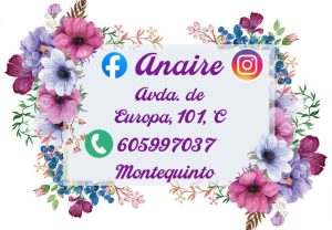 Logo de Anaire